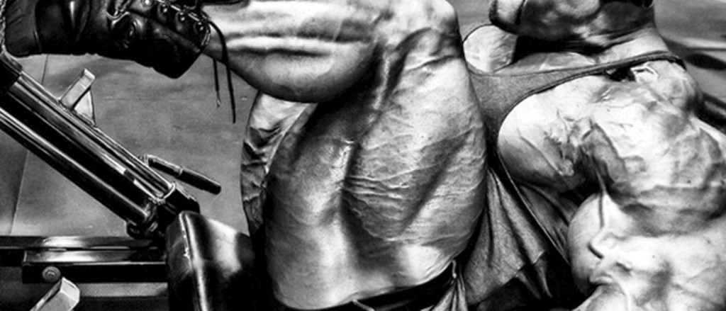 musculocas5