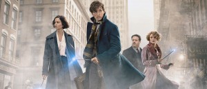 pelicula-animales-fantasticos-y-donde-encontrarlso