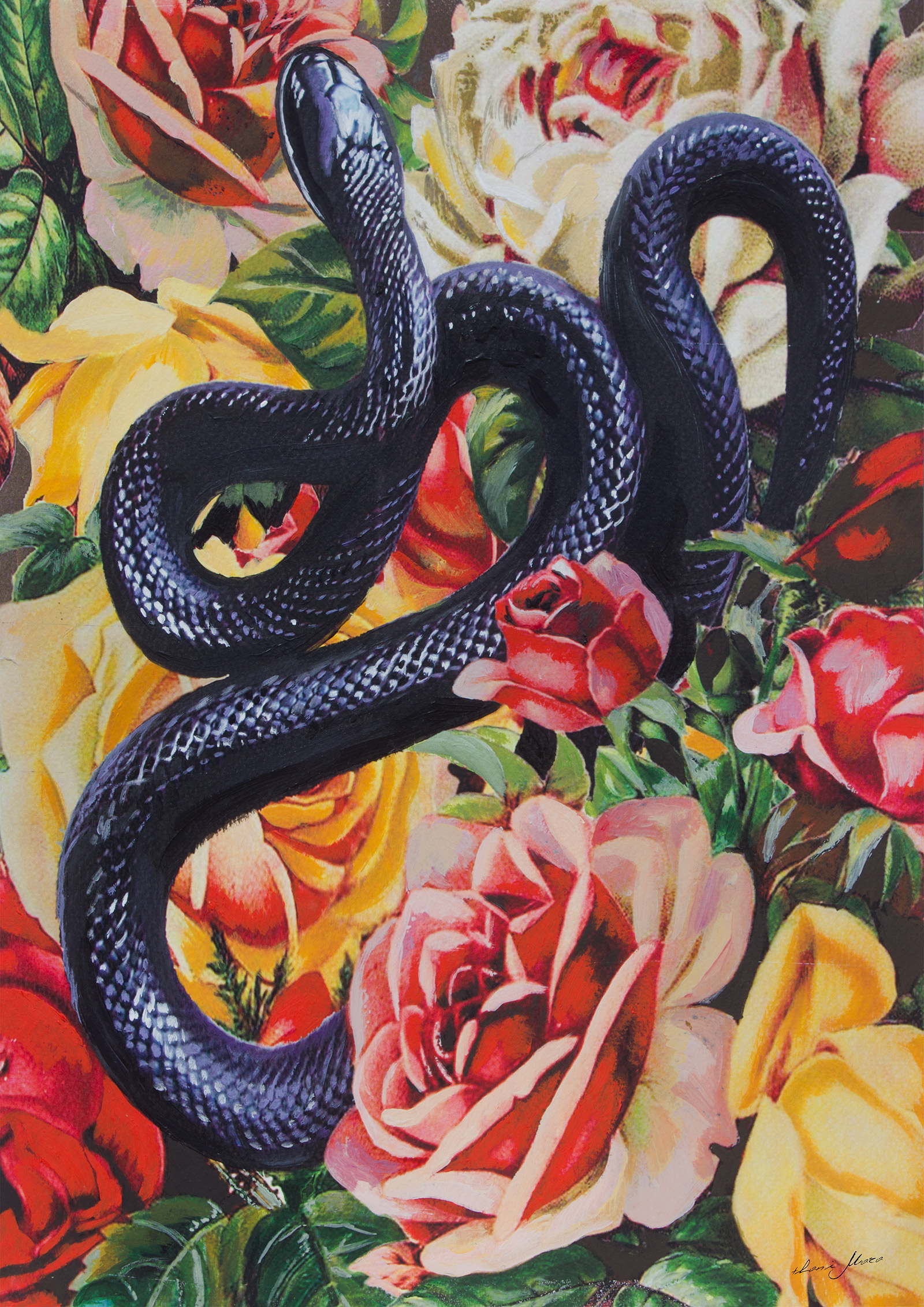 ilustracion-thani-mara-04