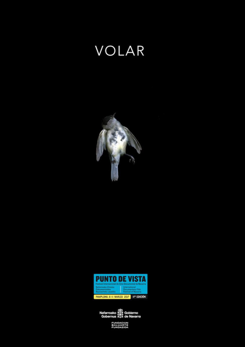 cartel-punto-de-vista-2017