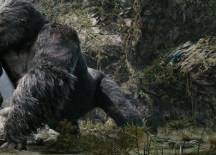 kong