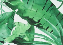 tropical