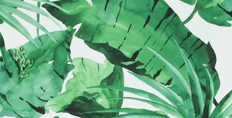 tropical