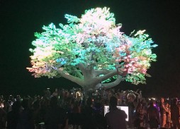 la-despensa-burning-man-2017-dia-1-apertura