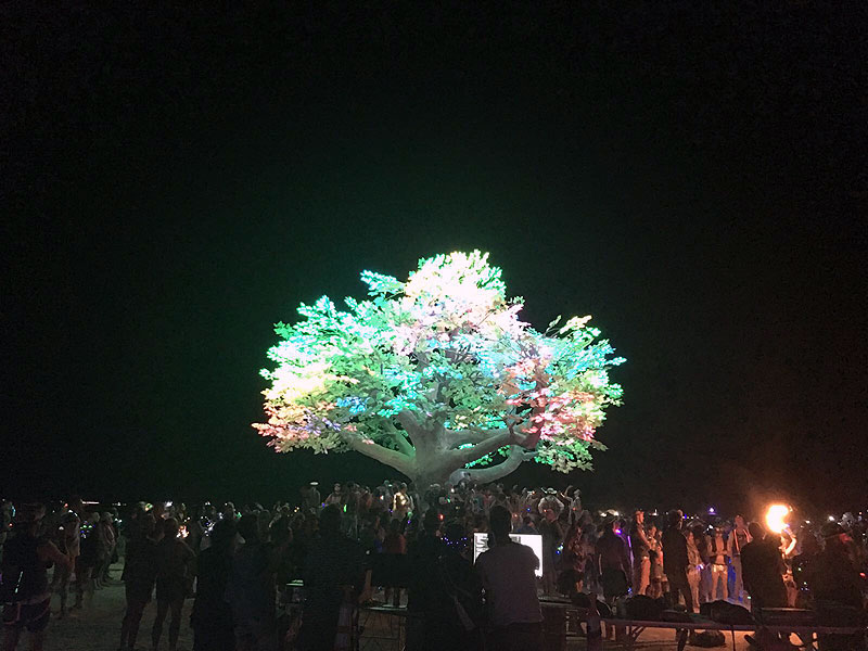la-despensa-burning-man-2017-dia-1-tenere