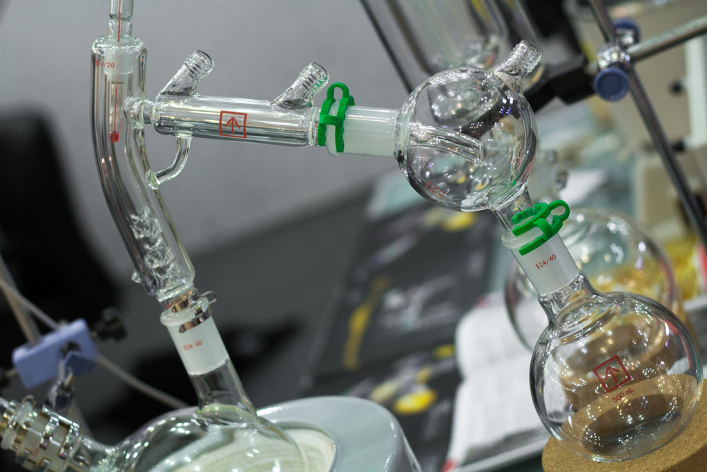 spannabiscienciabho