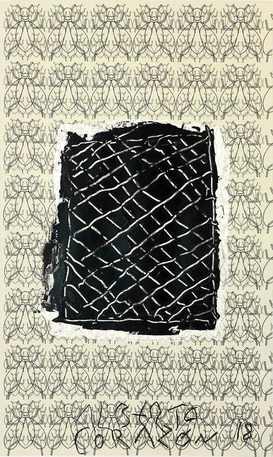 Alberto-Corazon-Sobras-de-Arte-2018-Jaula-de-moscas